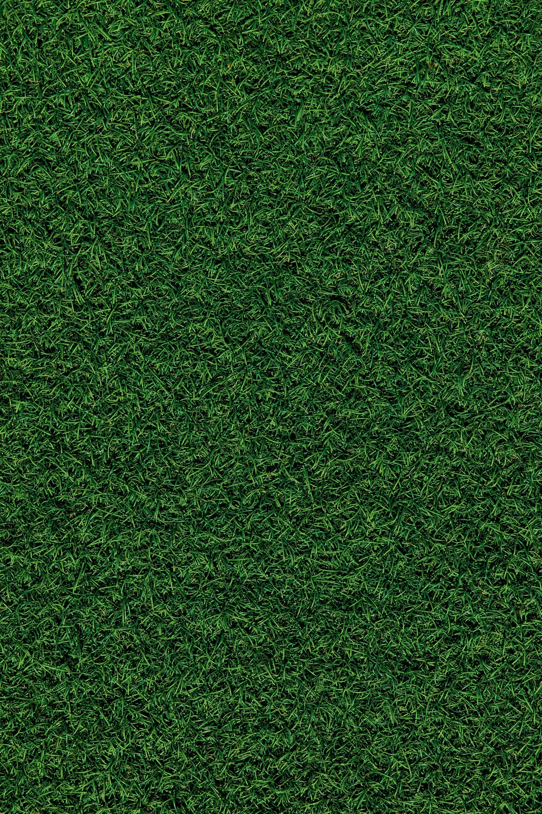 A close-up of artificial turf blades showing the texture of the material.